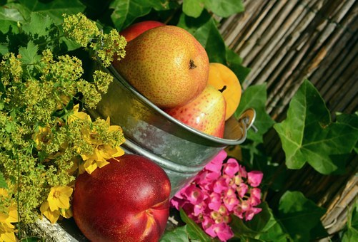 水果,花园,收获,静物,丰富多彩,食品,吃,鲜花,美味,新鲜,成熟,健