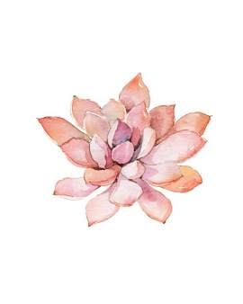 花图片_植物素材_设计下载