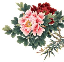 植物图片_花束素材_花下载