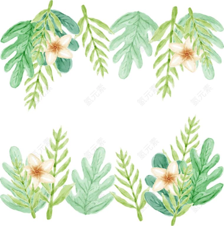 蕨类图片_花素材_植物下载