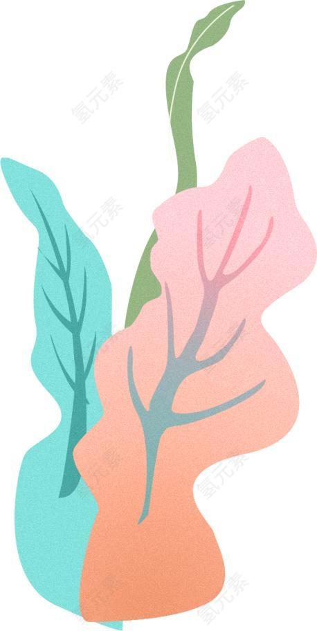 植物图片_花素材_可爱下载