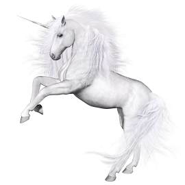 马图片_奇/偶蹄目素材_白色下载