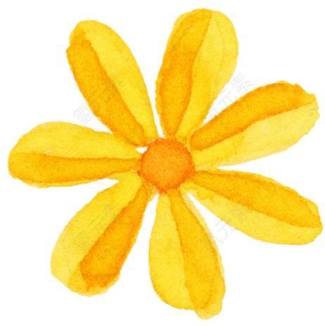 白背景图片_花朵素材_花下载