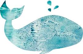 绿色图片_水素材_鸟下载