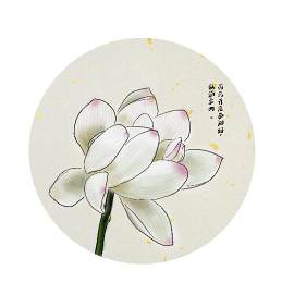 荷花图片_植物素材_花下载