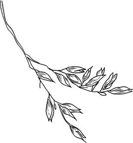 矢量图图片_艺术素材_设计下载