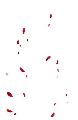 活泼图片_红色素材_创意下载