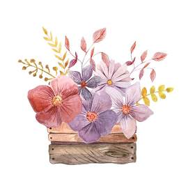 艺术图片_夏季素材_白色下载