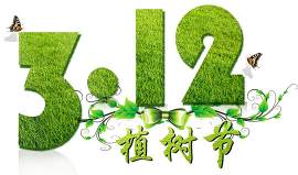 灌木图片_植物素材_绿色下载