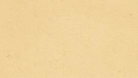 墙图片_荒漠/植被素材_复古下载