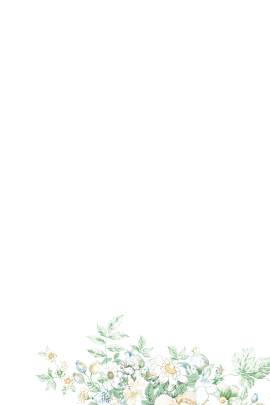 植物图片_花素材_绿色下载