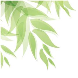 绿色图片_矢量图素材_叶子下载