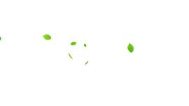 植物图片_绿色素材_叶子下载