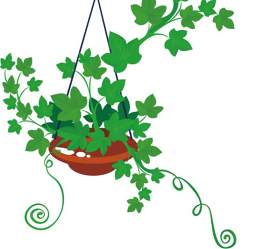 常春藤图片_兔子素材_藤蔓植物下载