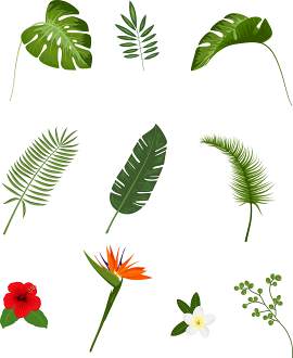 矢量图图片_植物素材_灌木下载