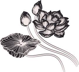 矢量图图片_设计素材_写生下载