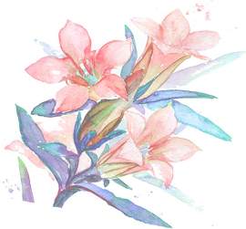 花图片_植物素材_叶子下载