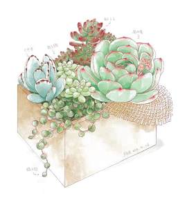 艺术图片_植物素材_花下载