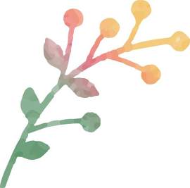 植物图片_花素材_艺术下载