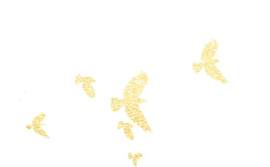 玉米片图片_烘焙食品素材_金色下载