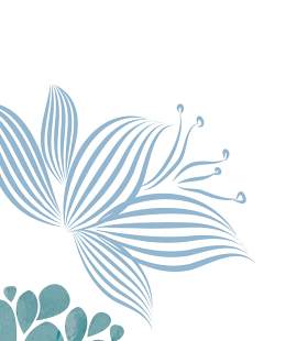 枫树图片_抽象素材_设计下载