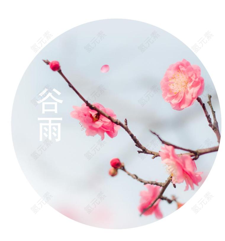 梅花图片_春天素材_花朵下载