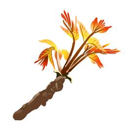 植物图片_矢量图素材_树木下载