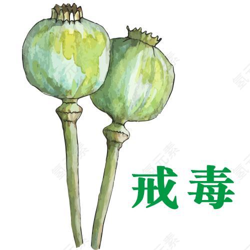 食物图片_艺术素材_蔬菜下载