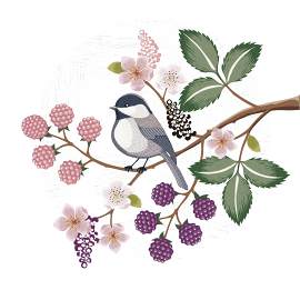 枝图片_设计素材_艺术下载