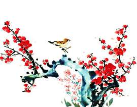 红色图片_植物素材_彩色图片下载