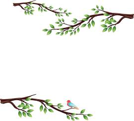 植物图片_叶子素材_装饰下载