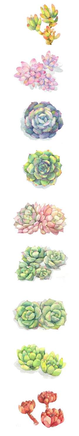 植物图片_绿色素材_花朵下载