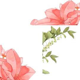 设计图片_花素材_植物下载