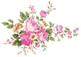 花朵图片_植物素材_矢量图下载