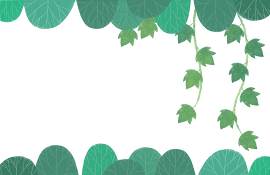 绿色图片_叶子素材_植物下载