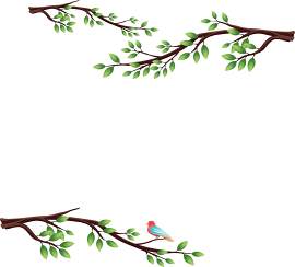 叶子图片_植物素材_装饰下载