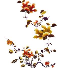 花图片_花朵素材_植物下载