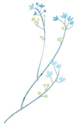 植物图片_花朵素材_花下载