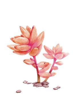 花图片_设计素材_植物下载