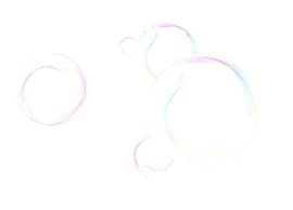 兔子图片_自由素材_创意下载