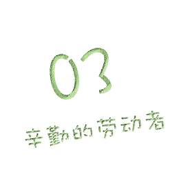 绿色图片_芦荟素材_文字下载