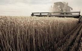 旅游图片_麦田素材_自然下载