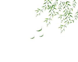 植物图片_叶子素材_绿色下载