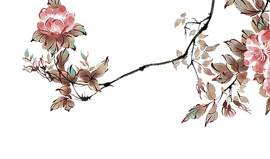 植物图片_花素材_枝下载