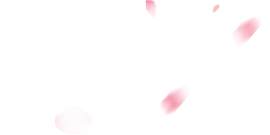 粉色图片_合成素材_花瓣下载