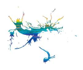 水图片_摄影素材_鲨鱼下载