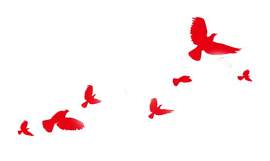 矢量图图片_花朵素材_红色下载