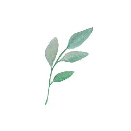 植物图片_设计素材_叶子下载