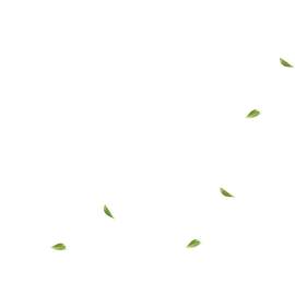 叶子图片_素材素材_植物下载