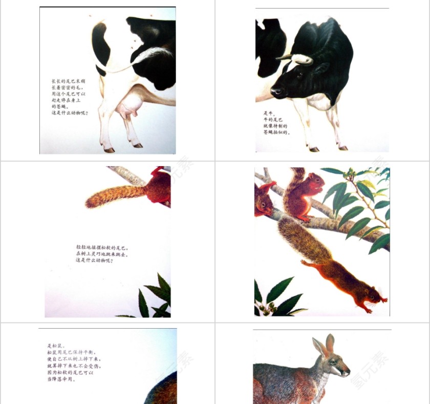 奇妙的尾巴幼儿绘本教育课件第3张